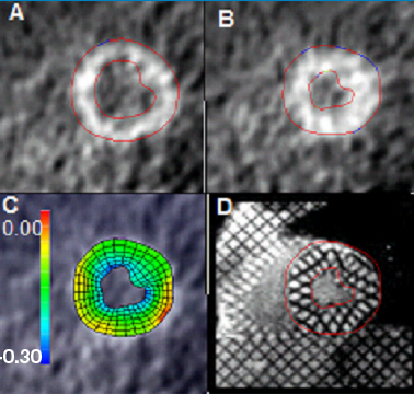 obj15geo17pg1p5_copy